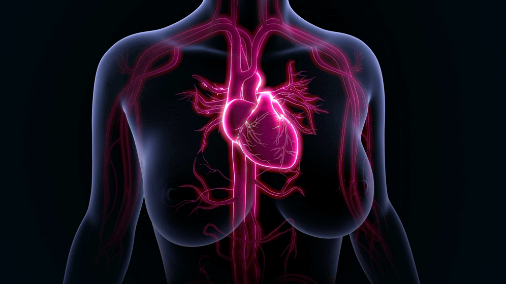 image for Cardio Diagnostics